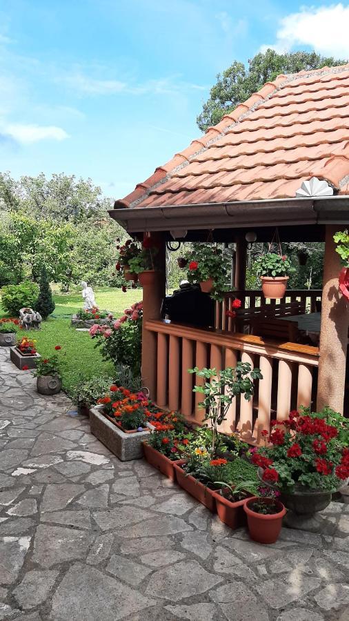 Apartmani "Dukic" Pelinovo Экстерьер фото