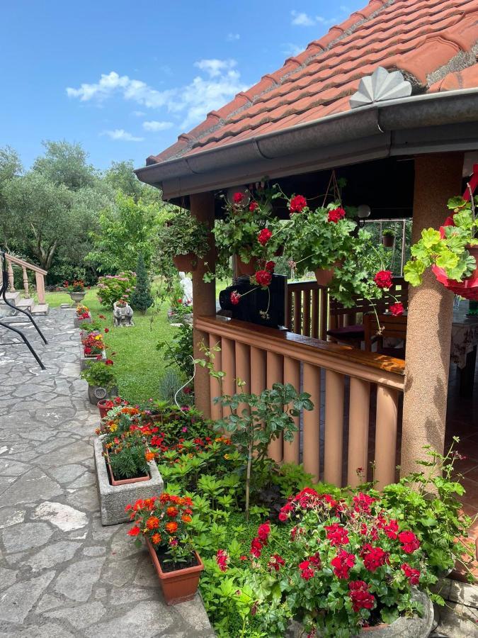 Apartmani "Dukic" Pelinovo Экстерьер фото