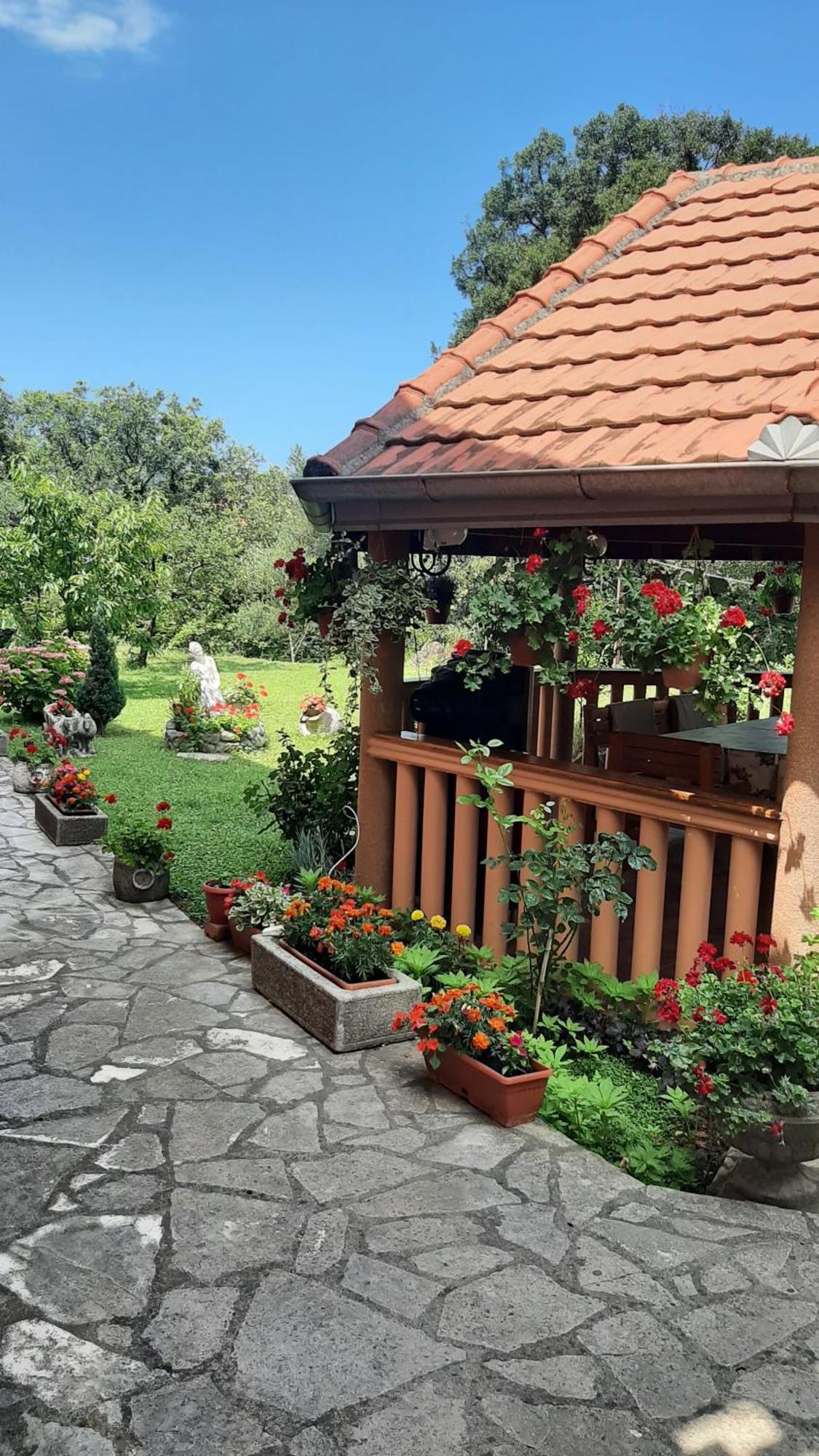 Apartmani "Dukic" Pelinovo Номер фото