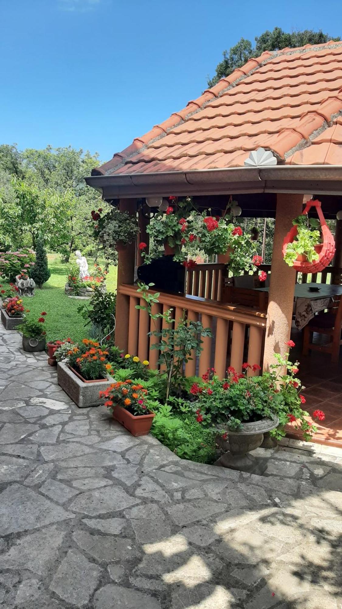 Apartmani "Dukic" Pelinovo Номер фото